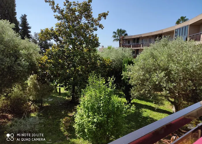 Appartement Les Palmiers